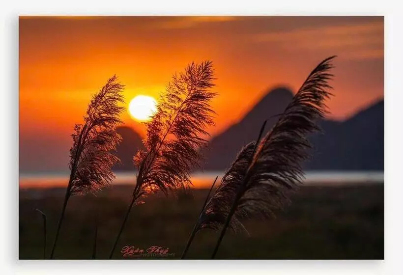 هتل Cat Ba Madame Duyen