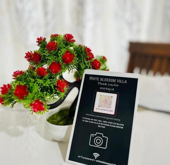 Отель White Blossom Villa