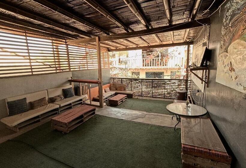 ペンション Casa Ayllu Wasi