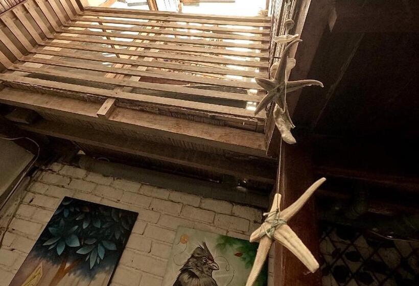 ペンション Casa Ayllu Wasi