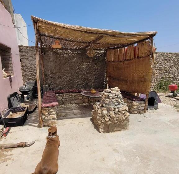 هاستل Home Surf