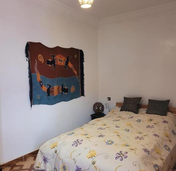 هاستل Home Surf