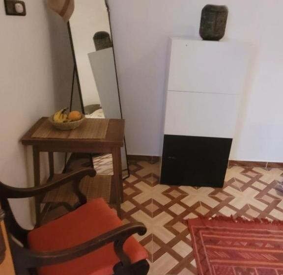 هاستل Home Surf