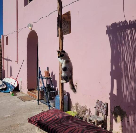 هاستل Home Surf