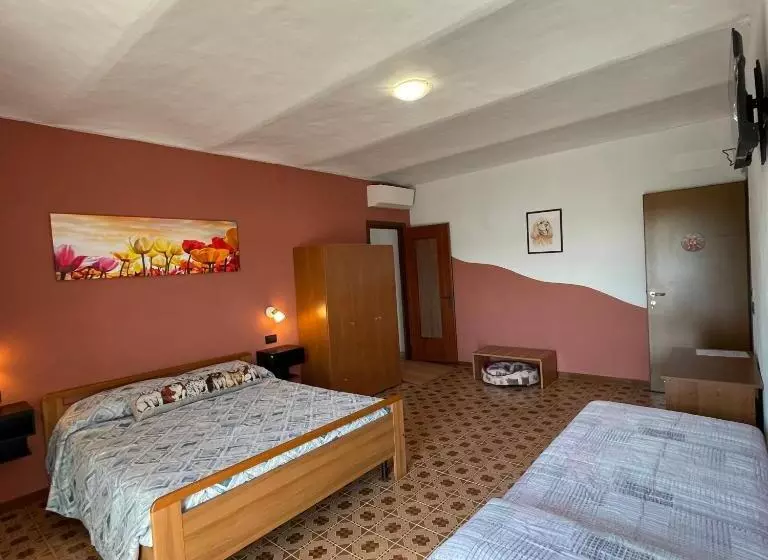 Aamiaismajoitus (B&B) La Tana Di Momo