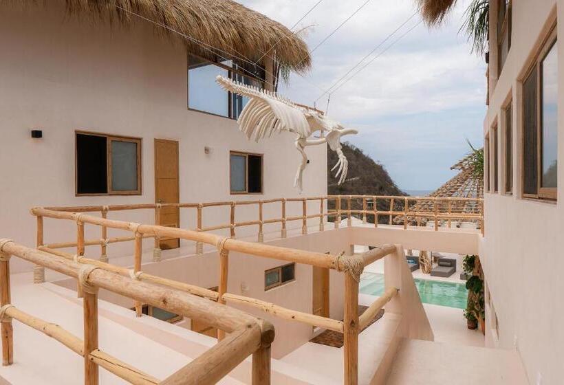 Пансион Hostal Xeno