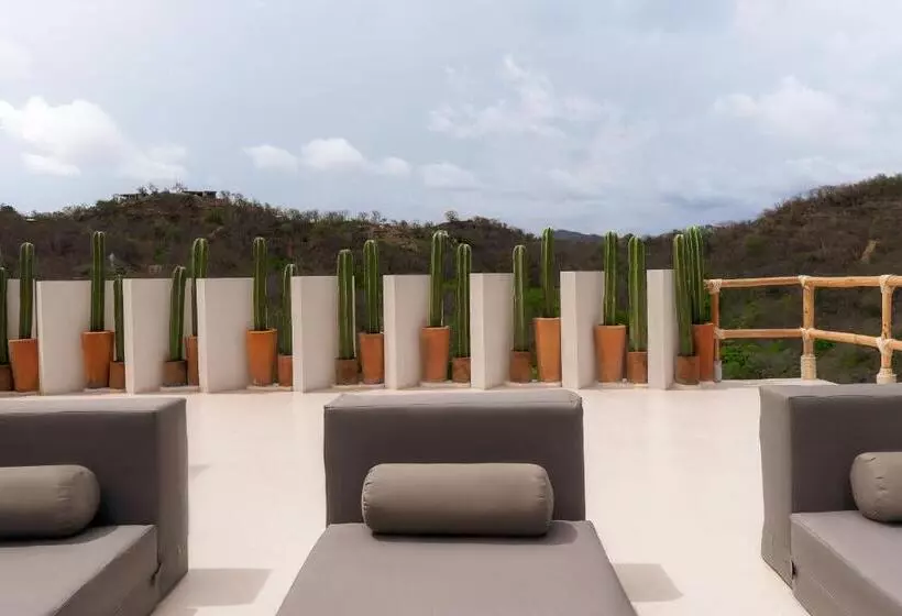 Majatalo Hostal Xeno