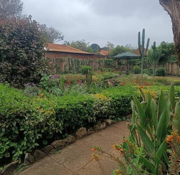 هاستل Jameson House