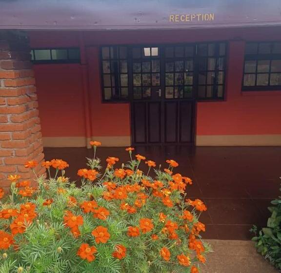 هاستل Jameson House