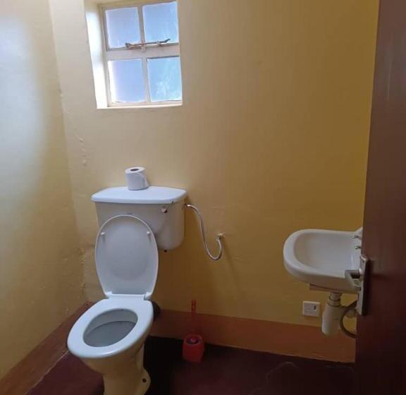 هاستل Jameson House