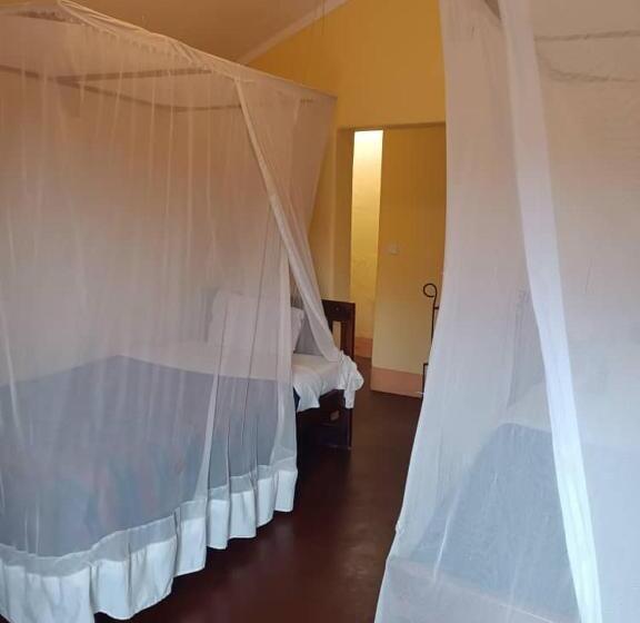 هاستل Jameson House