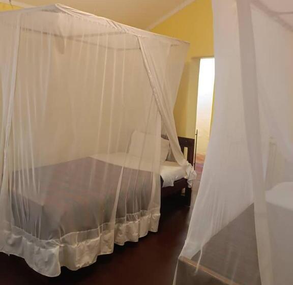 هاستل Jameson House