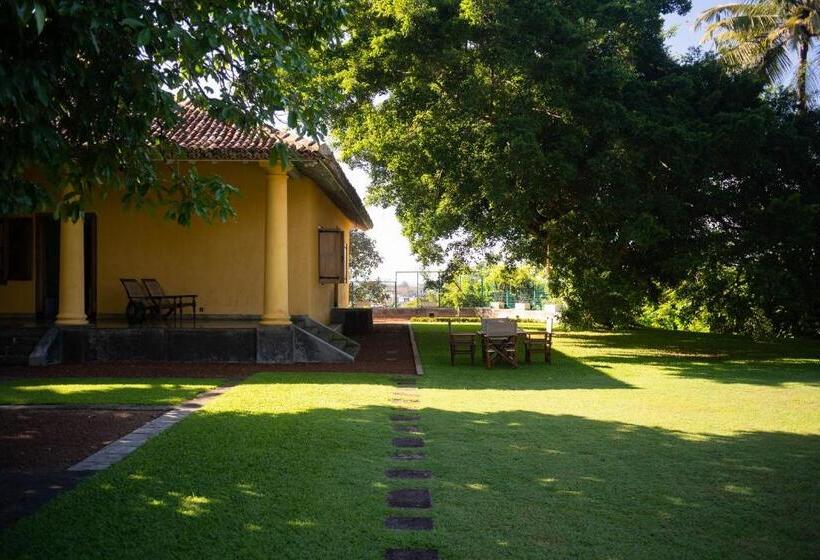 Bed and Breakfast Doornberg