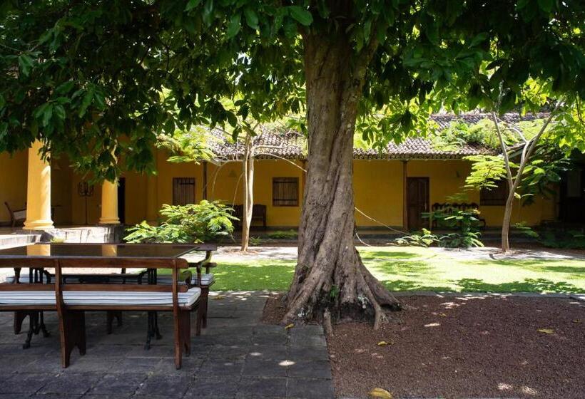 Bed and Breakfast Doornberg