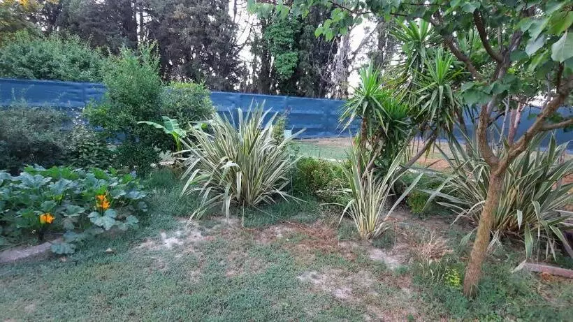 Bed and Breakfast Mas