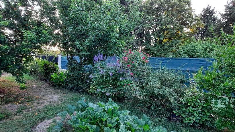 تختخواب و صبحانه Mas