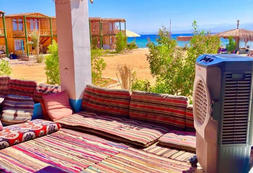 هتل Blue Beach Camp