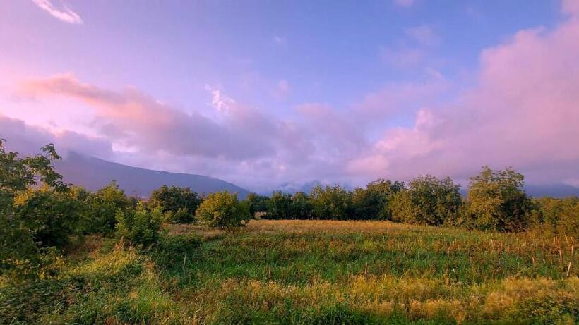 هتل Villa Gio Kvareli