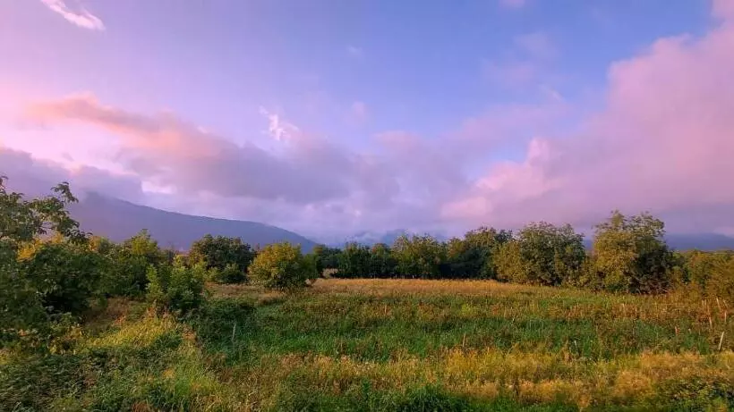 هتل Villa Gio Kvareli