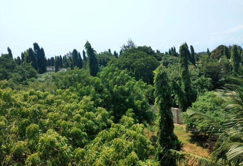 Пансион Comfy Beachside Condo