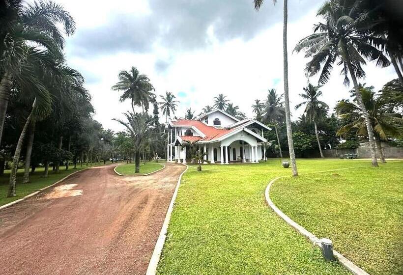 住宿加早餐 Villa Di Angelo