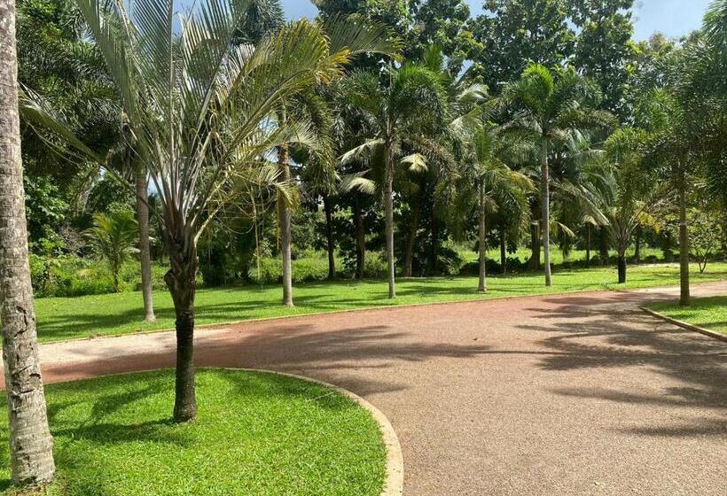 住宿加早餐 Villa Di Angelo