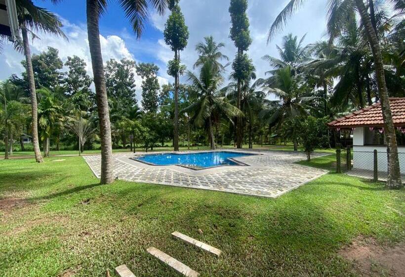 住宿加早餐 Villa Di Angelo