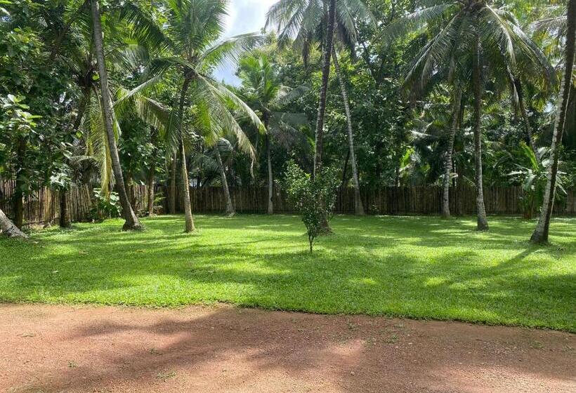 住宿加早餐 Villa Di Angelo