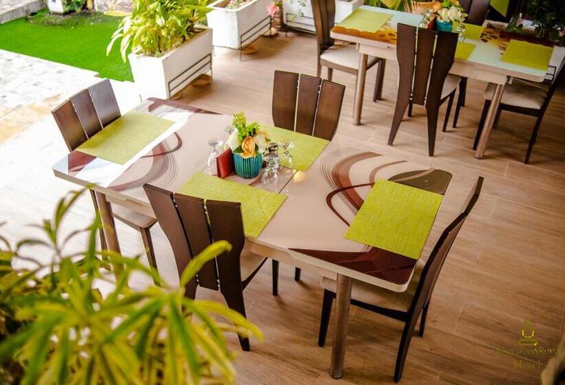 Отель The Green Royal