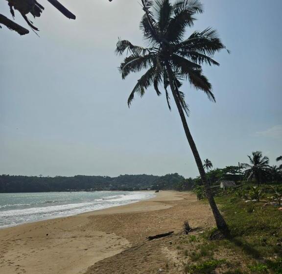 בית מלון כפרי Uzoma S Lodge