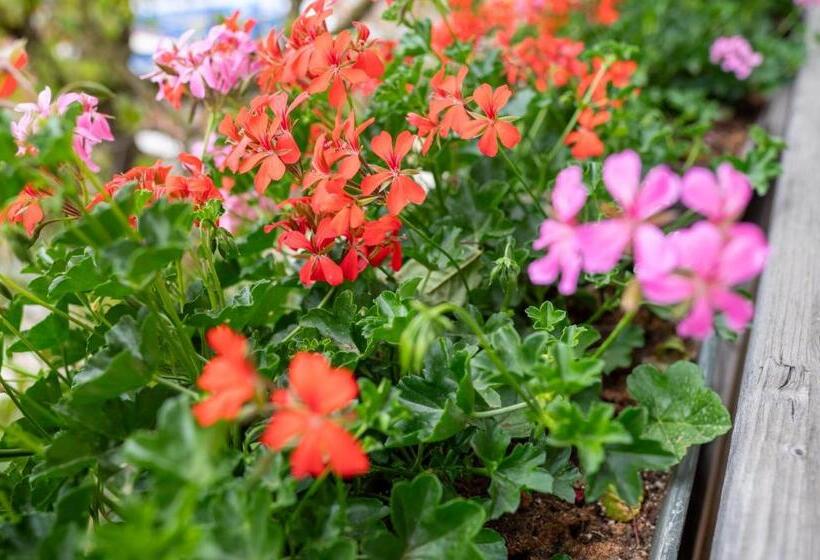 فندق Weberhof Toblach