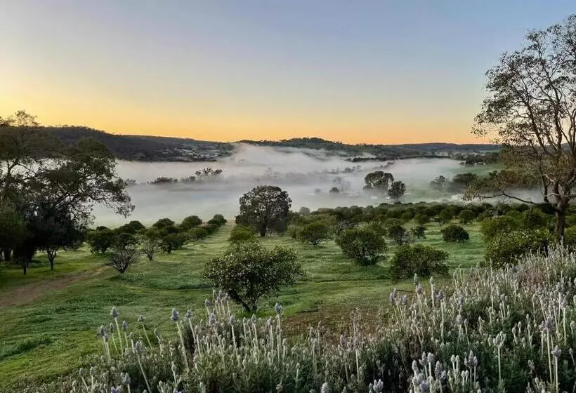 ペンション Rosie S Cottage Bindoon