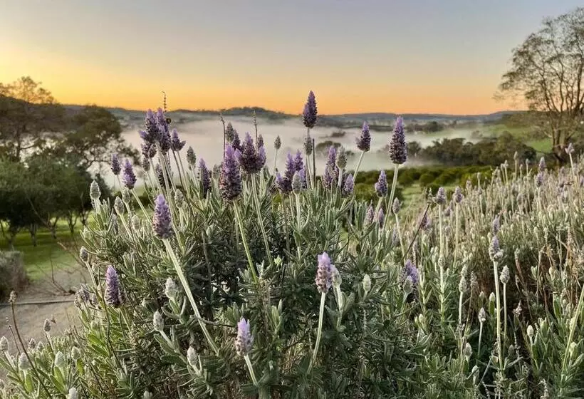 ペンション Rosie S Cottage Bindoon