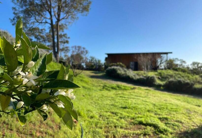 ペンション Rosie S Cottage Bindoon