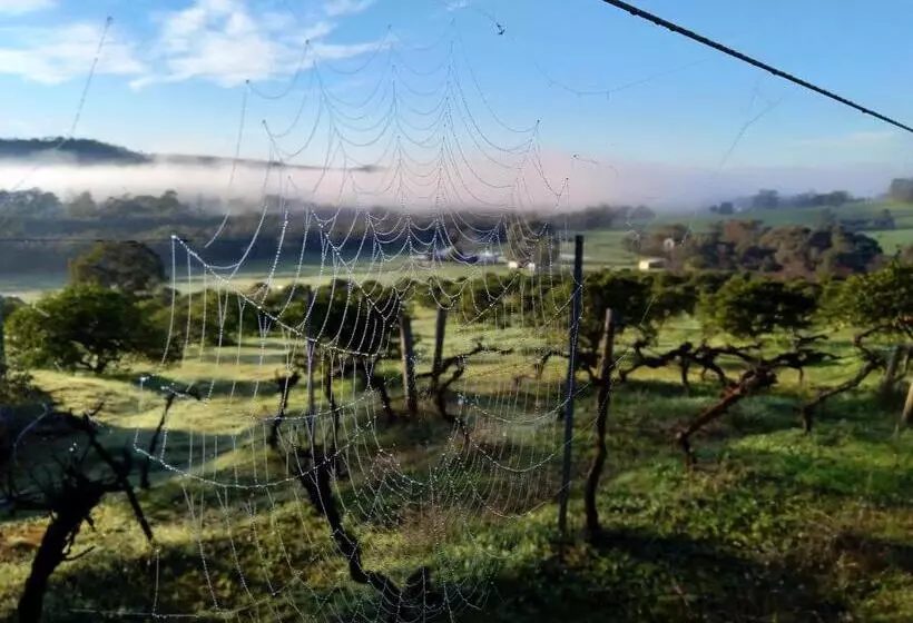 ペンション Rosie S Cottage Bindoon