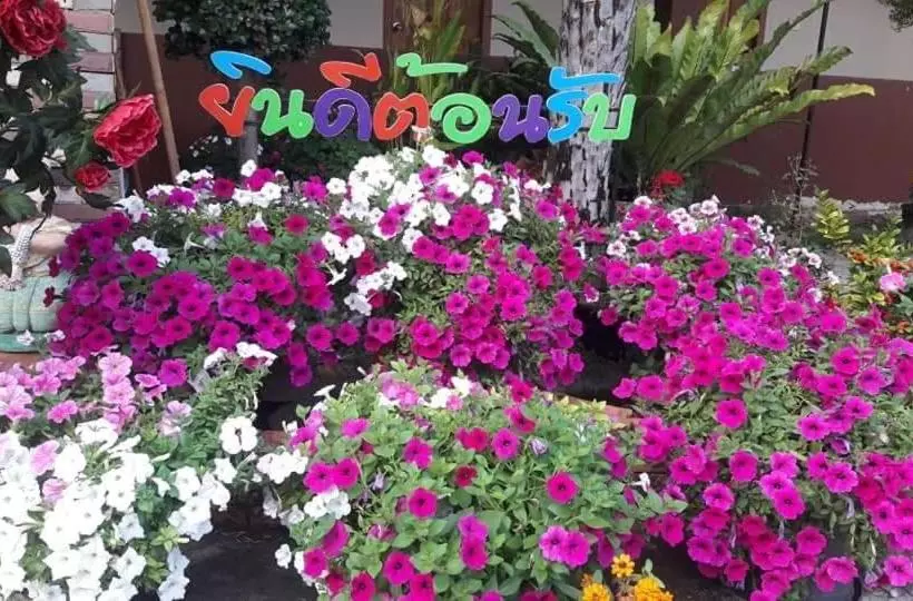 ユースホステル Mayuree Resort