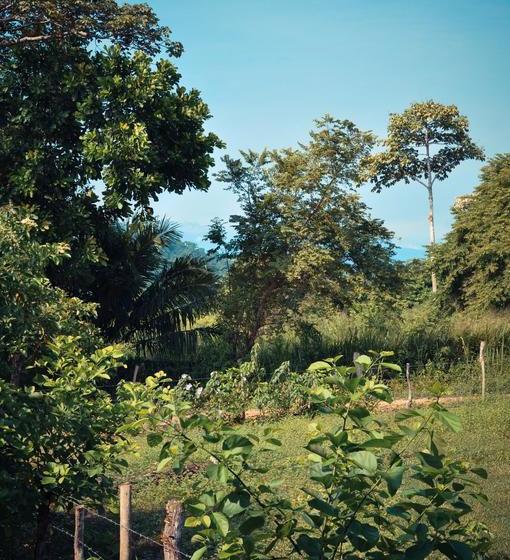 تختخواب و صبحانه Casa Juana Palomino