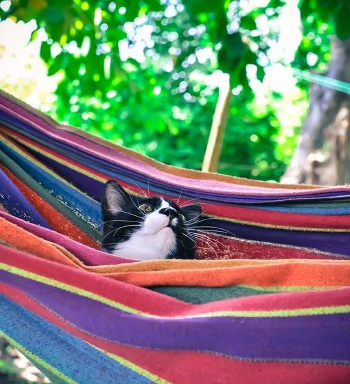 تختخواب و صبحانه Casa Juana Palomino