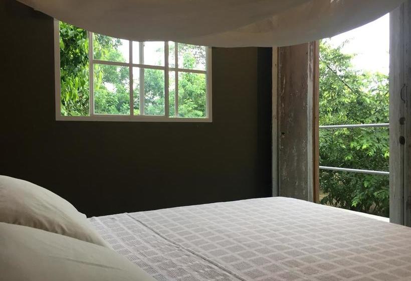 تختخواب و صبحانه Casa Juana Palomino