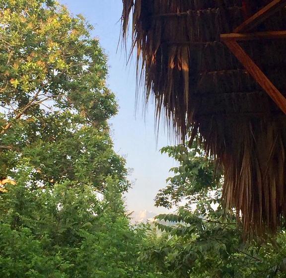 تختخواب و صبحانه Casa Juana Palomino