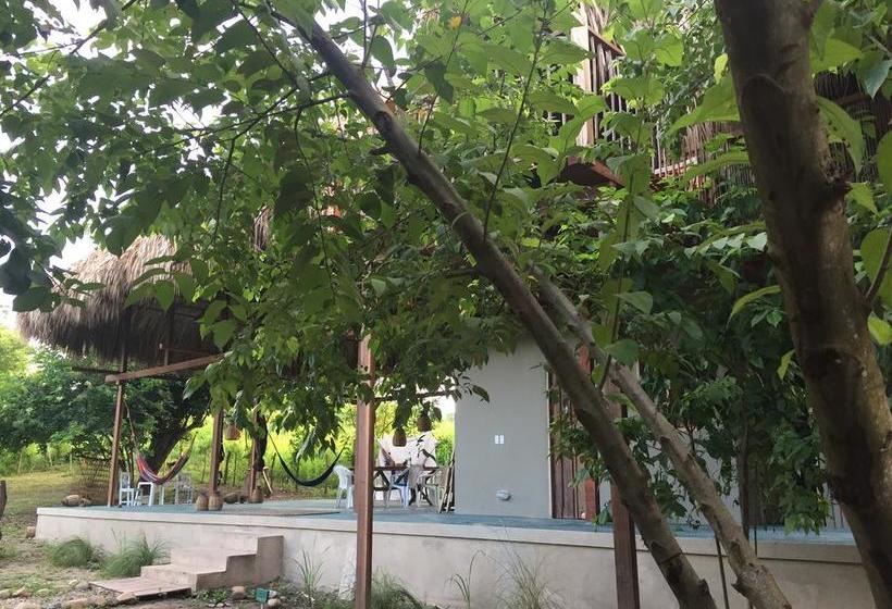 تختخواب و صبحانه Casa Juana Palomino