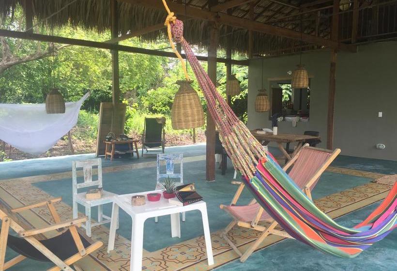 تختخواب و صبحانه Casa Juana Palomino