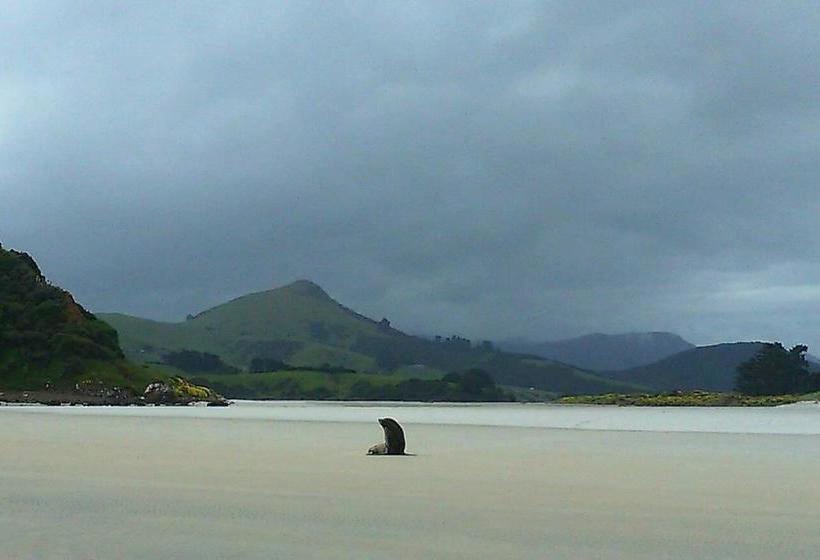 Aamiaismajoitus (B&B) Restview