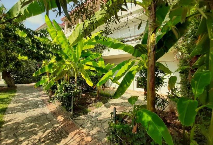 هتل Olives Residence