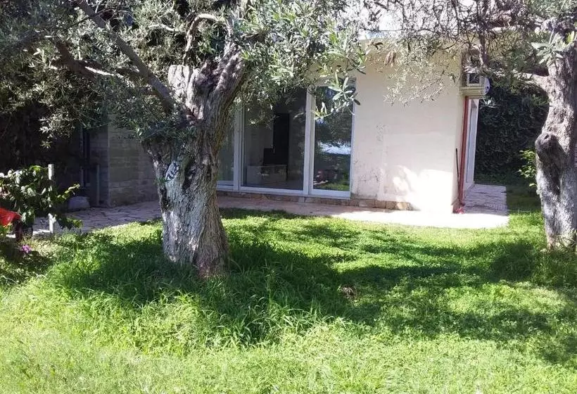 هتل Olives Residence