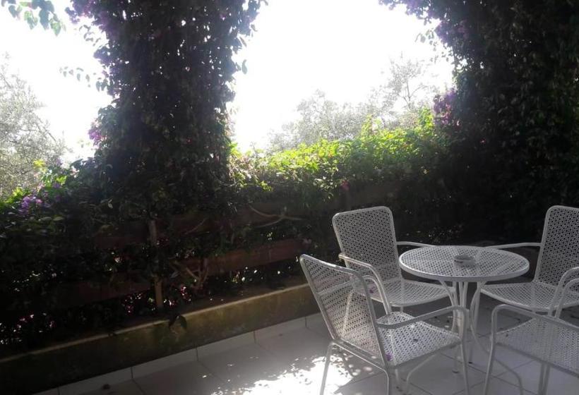 هتل Olives Residence