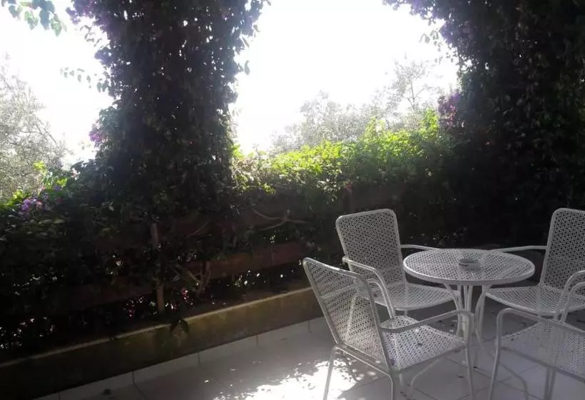 هتل Olives Residence