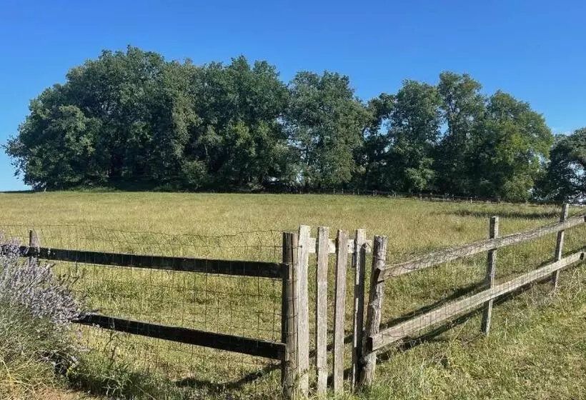 Aamiaismajoitus (B&B) Hameau Du Hour   Chambre D Hôtes Et Gîtes