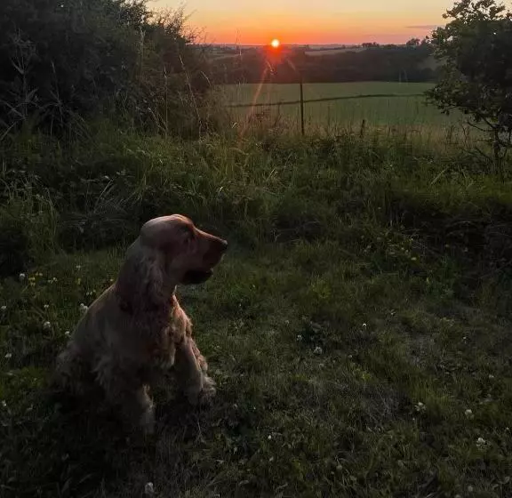 Aamiaismajoitus (B&B) Hameau Du Hour   Chambre D Hôtes Et Gîtes