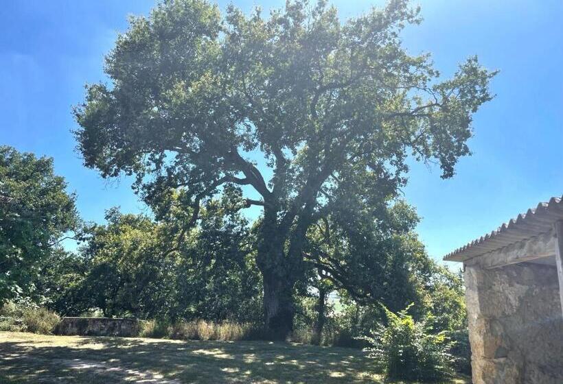 مبيت وإفطار Hameau Du Hour   Chambre D Hôtes Et Gîtes